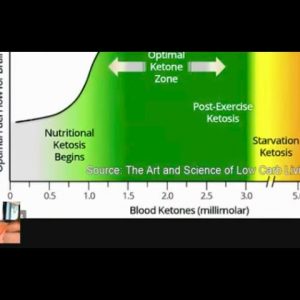 EXPLAINING BLOOD SUGAR & KETONE NUMBERS ON KETO, CARNIVORE, LCHF