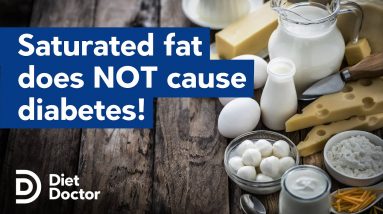 Saturated fat DOESN'T cause Diabetes