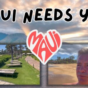 My Experience in Maui - Should You Travel There Now?