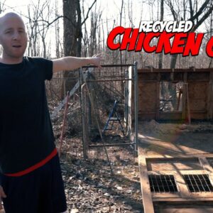 Building Our Homestead - Step 1: Chicken Coop