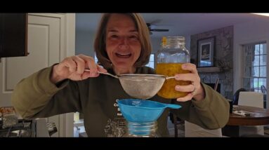 Foraged Tea! Forsythia and dandelion tea